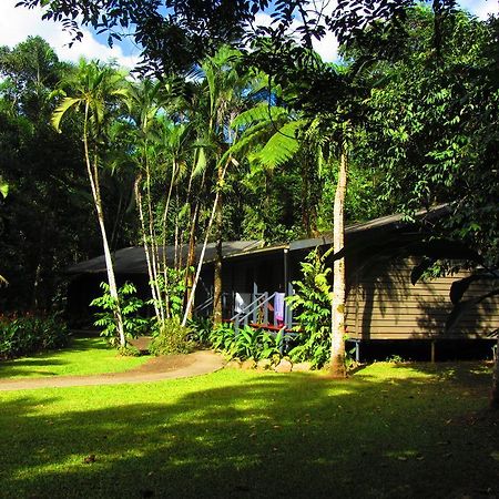 Heritage Lodge In The Daintree Cape Tribulation Kültér fotó