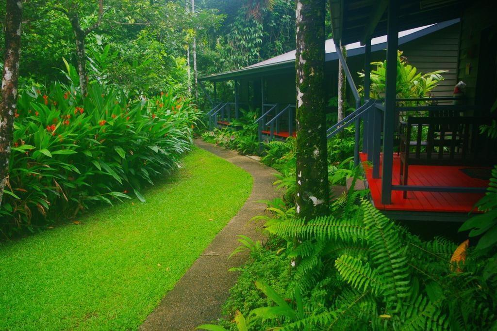 Heritage Lodge In The Daintree Cape Tribulation Kültér fotó