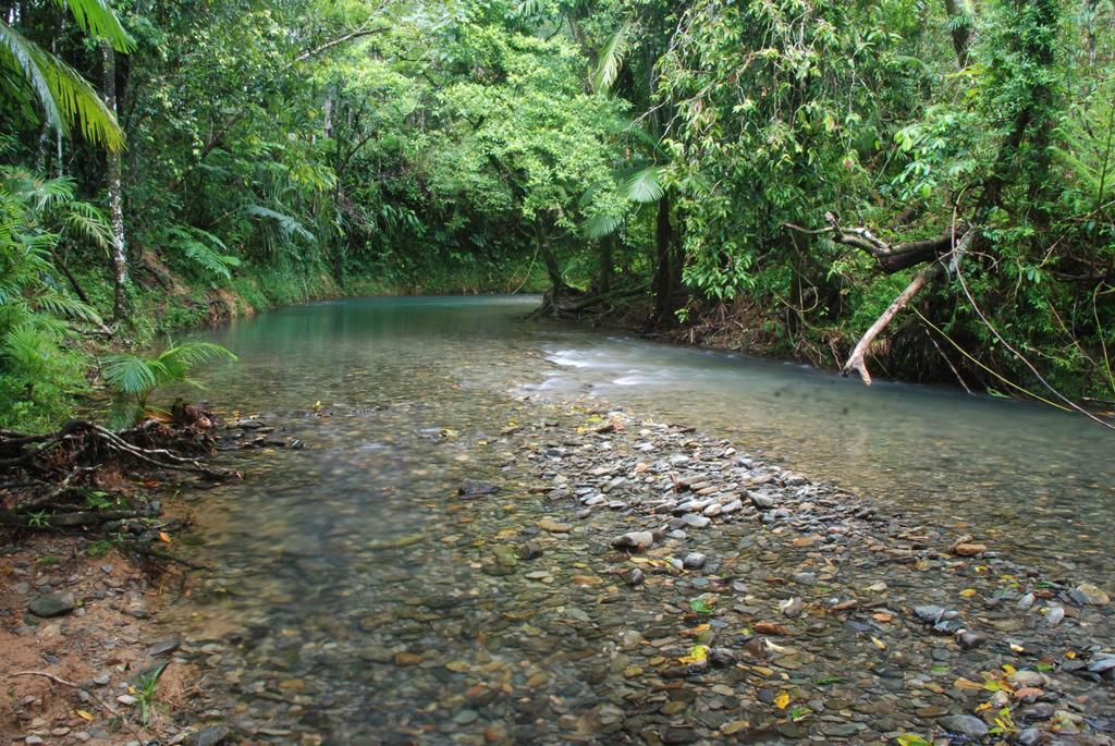 Heritage Lodge In The Daintree Cape Tribulation Kültér fotó