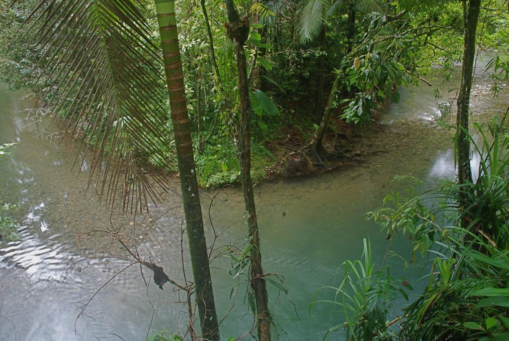 Heritage Lodge In The Daintree Cape Tribulation Kültér fotó