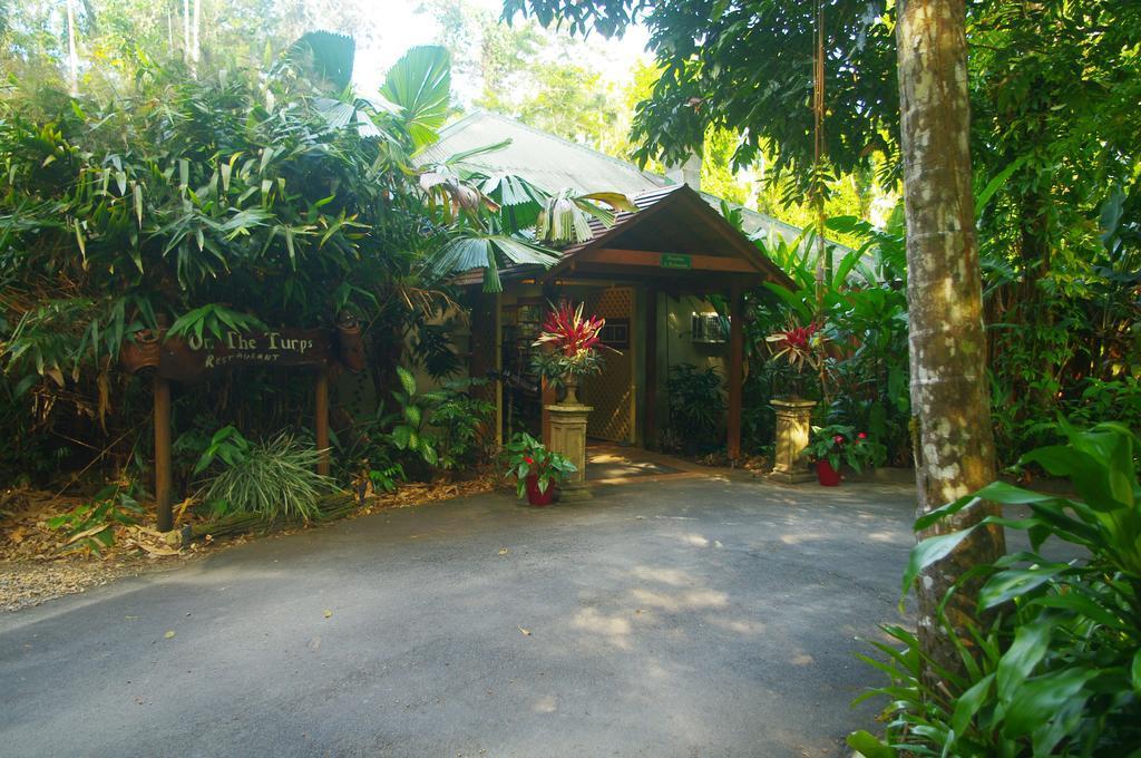 Heritage Lodge In The Daintree Cape Tribulation Kültér fotó